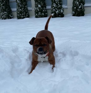 Валерий Тайк