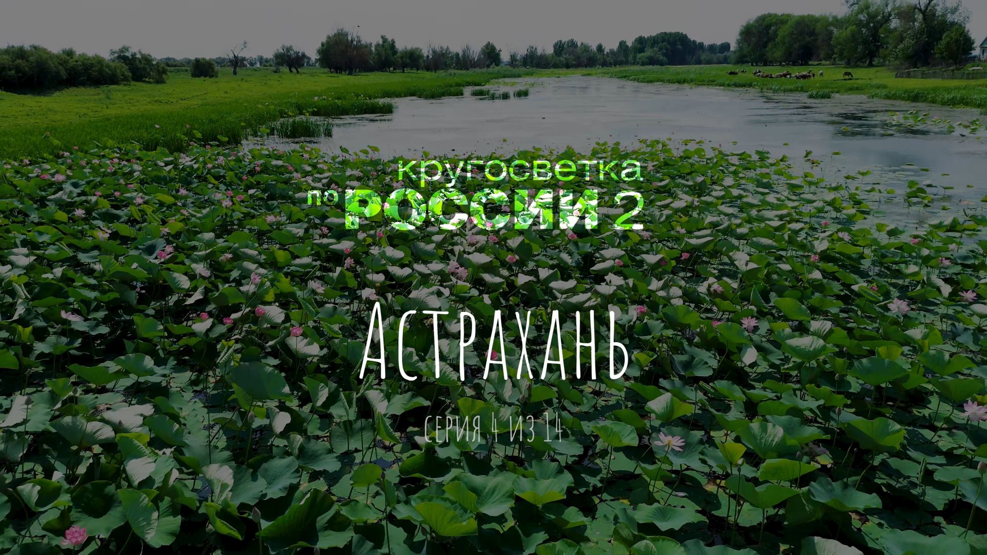 Астрахань (4/14)